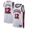 Muške NBA Dres Chicago Bulls Ayo Dosunmu 12 Nike 2022-23 City Edition Bijela Swingman